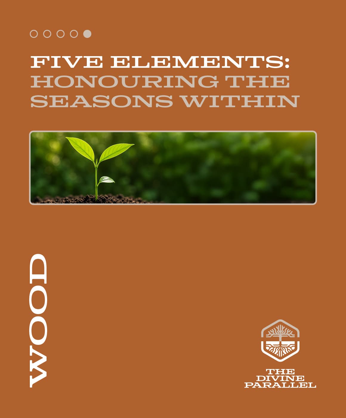 Five Elements: Honouring the Seasons Within : Wood session